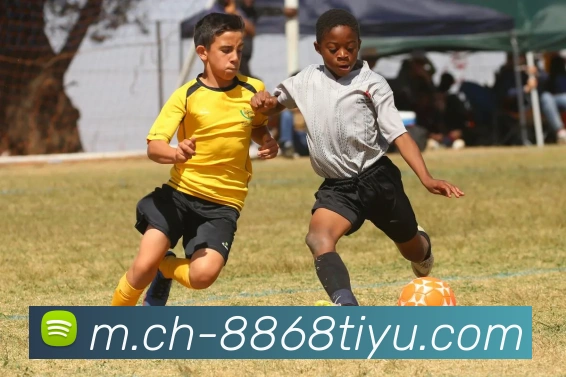 8868体育服务体系